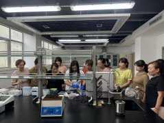 <strong>市食药检测核心开展尝试室日勾当</strong>